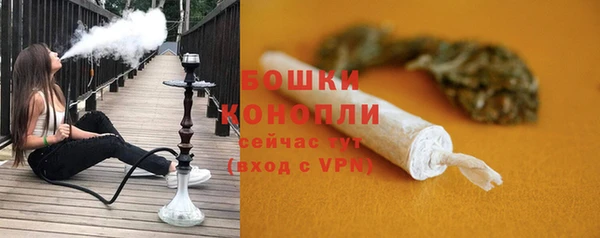 PSILOCYBIN Гусиноозёрск