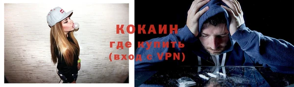 прущие грибы Волоколамск