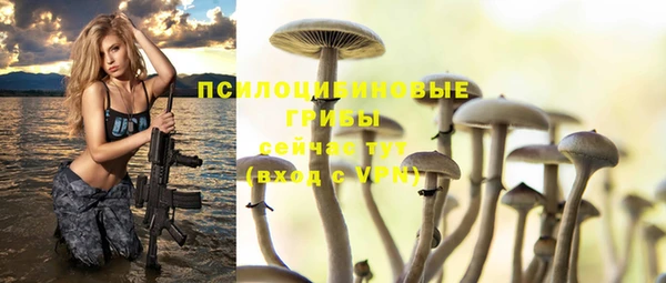 прущая мука Анива